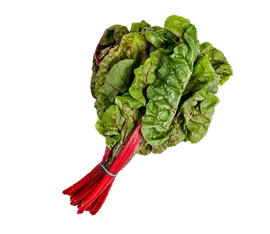 Acelga Roja hidropónico cultivado por Ecultiva