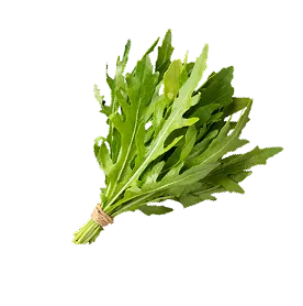 Rúcula hidropónico cultivado por Ecultiva