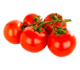 Tomate Cherry hidropónico cultivado por Ecultiva